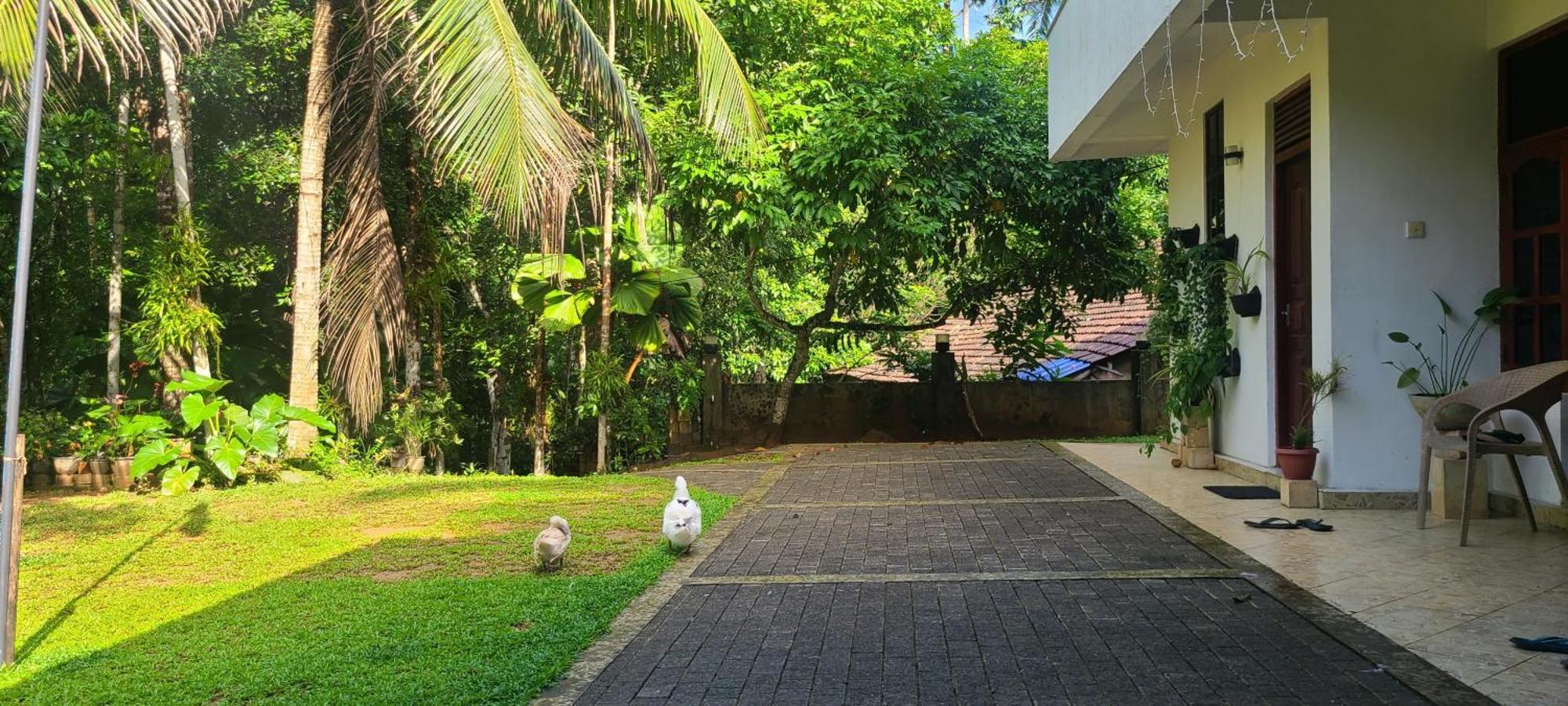 'Kolamba Gedara' Green Apartment Ruwanwella Exterior photo